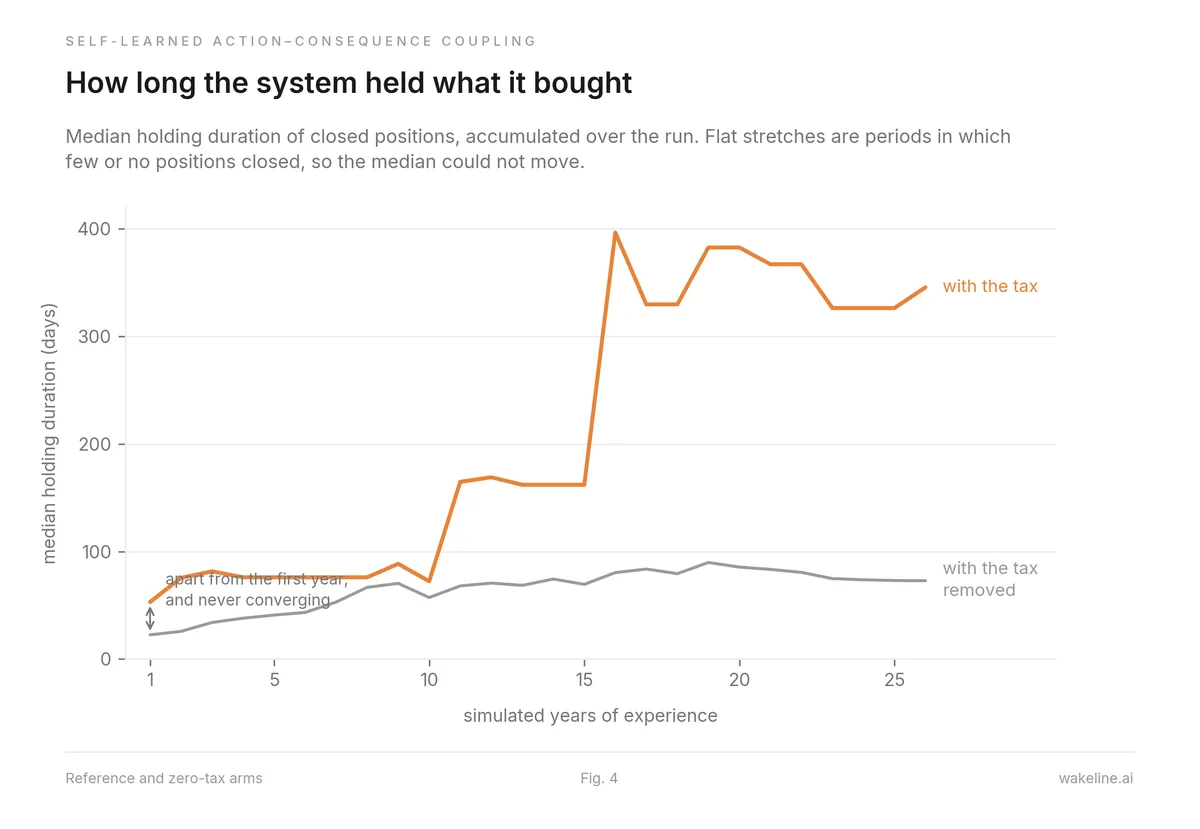 Line chart titled “How long the system held what it bought”: median holding duration in days rises to roughly 350 days when a capital-gains tax is present but stays near 70 days when the tax is removed, over 26 simulated years of experience.